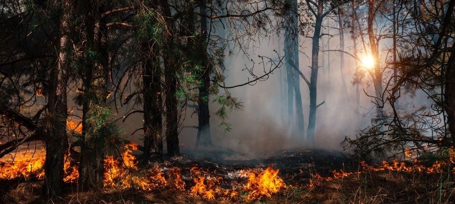 bend-air-quality-wildfire
